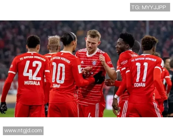 拜仁与美因茨亚盘对比分析及投注建议全面解读